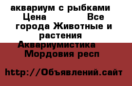 аквариум с рыбками › Цена ­ 15 000 - Все города Животные и растения » Аквариумистика   . Мордовия респ.